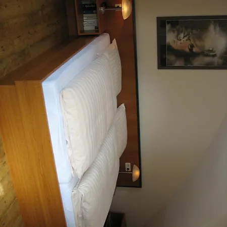 Altes Zollhaus Am Klinikum Hotel 3*