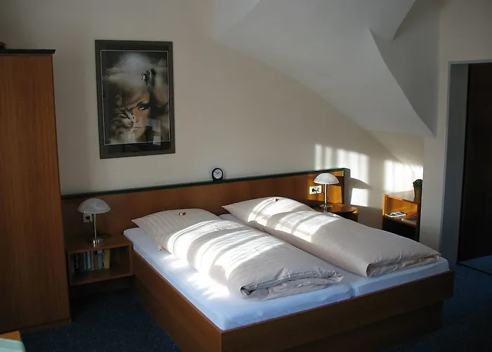 Altes Zollhaus Am Klinikum 3*